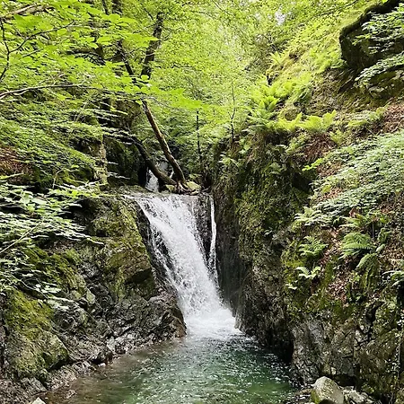 Bluebell Lodge, Shepherd Hut With Hot Tub In District Дом отдыха
