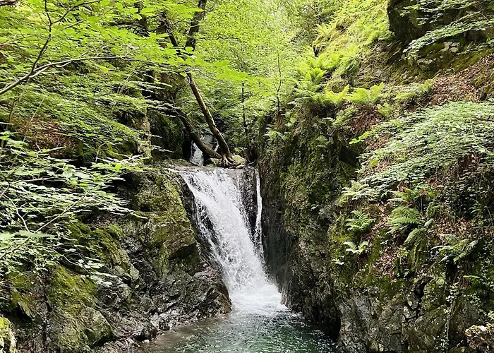 Bluebell Lodge, Shepherd Hut With Hot Tub In District Ferienhaus